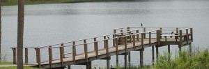 Picture of Dock at Lake Menzie Park, Dundee FL