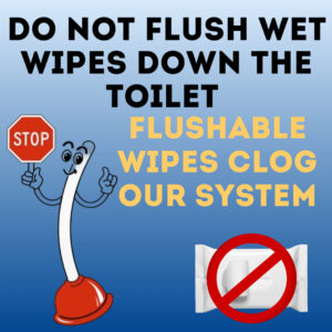 Don't Flush Wipes Flyer